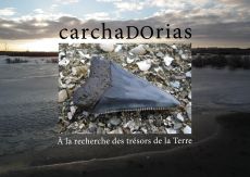 carchaDOrias A la recherche des trésors de la Terre - Vanespen Dominique, Lempkowicz Eli