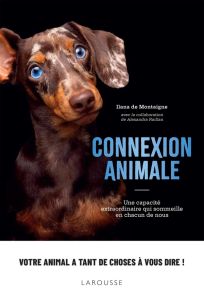 Connexion animale. Une capacité extraordinaire qui sommeille en chacun de nous - Montaigne Ilana de - Raillan Alexandra