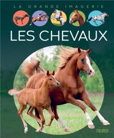 Les chevaux - Vandewiele Agnès