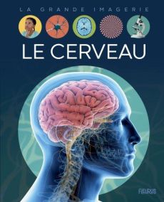 Le cerveau - Franco Cathy - Dayan Jacques - Bussi Audrey