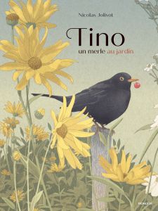 Tino, un merle au jardin - Jolivot Nicolas