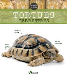 Tortues terrestres - Keller Gerti - Schneider Eva-Grit - Butler Emily