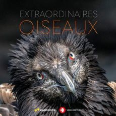 Extraordinaires oiseaux - Balança Erwan - Baumeister Simone - Born Olivier -