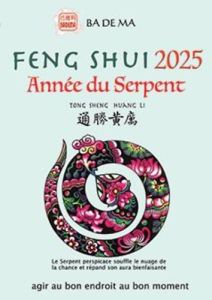 Feng Shui 2025 - Année du serpent - BADEMA