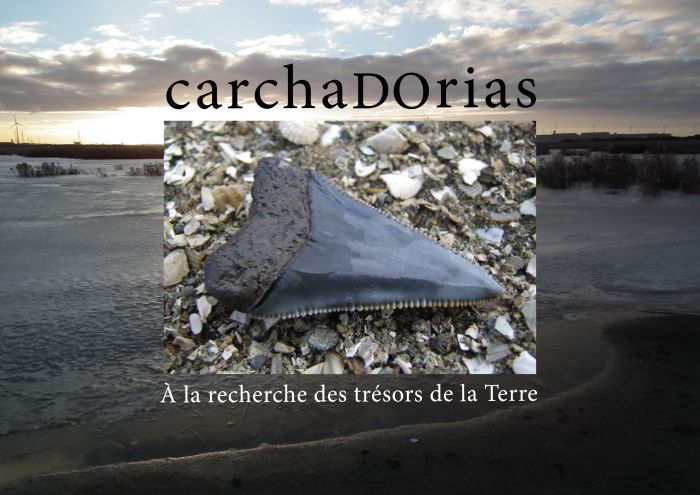 Emprunter carchaDOrias A la recherche des trésors de la Terre livre