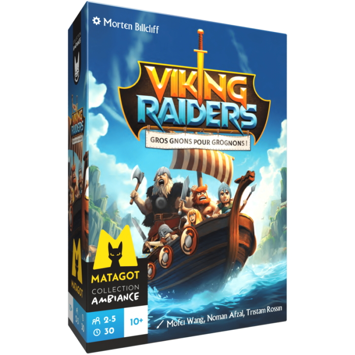 Emprunter VIKING RAIDERS livre