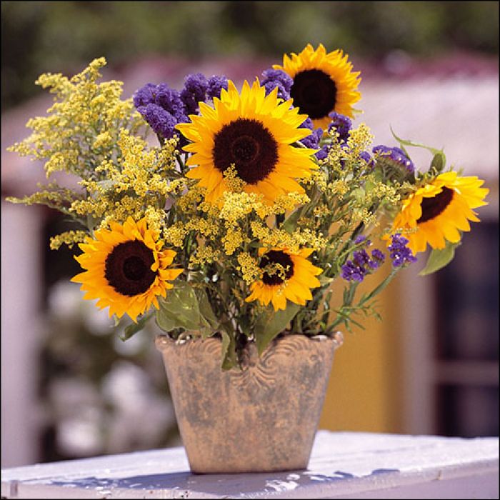 Emprunter Serviettes de table : Sunflower Bouquet livre