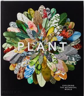 Emprunter PLANT: EXPLORING THE BOTANICAL WORLD livre