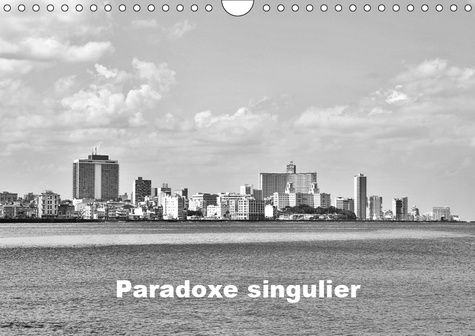 Emprunter PARADOXE SINGULIER (CALENDRIER MURAL 2019 DIN A4 HORIZONTAL) - QUELQUES SCENES URBAINES TEMOIGNENT D livre