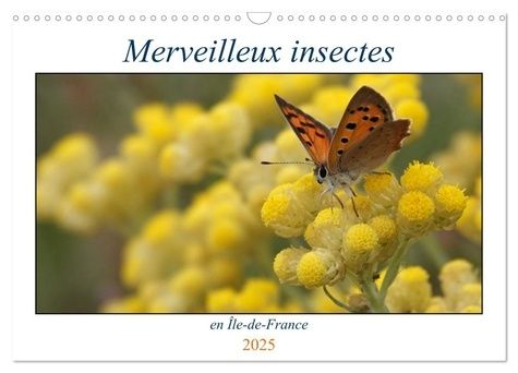 Emprunter Merveilleux insectes en Île-de-France (Calendrier mural 2025 DIN A3 vertical), CALVENDO calendrier m livre