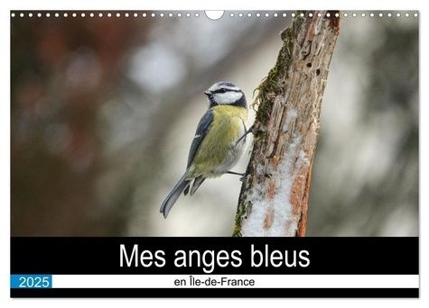 Emprunter Mes anges bleus en Île-de-France (Calendrier mural 2025 DIN A3 vertical), CALVENDO calendrier mensue livre