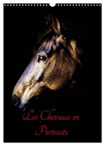 Emprunter Chevaux en Portraits (Calendrier mural 2025 DIN A3 horizontal), CALVENDO calendrier mensuel. Portrai livre