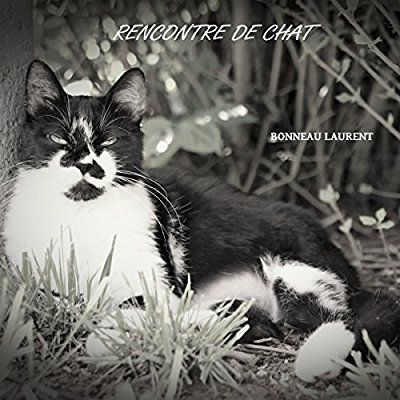 Emprunter Rencontre de chat livre