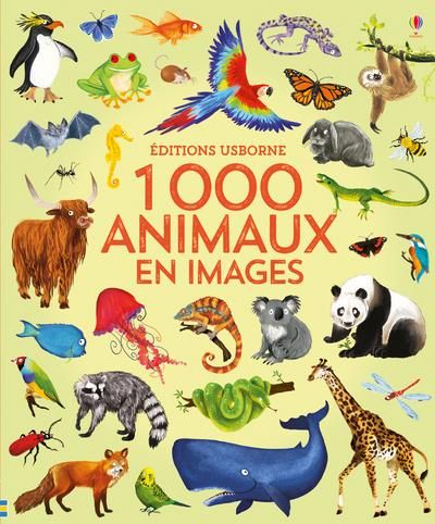 Emprunter 1000 animaux en images livre