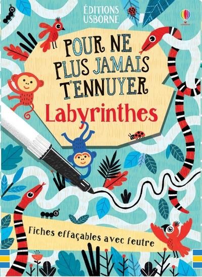 Emprunter Labyrinthes. Fiches effaçables avec feutre livre