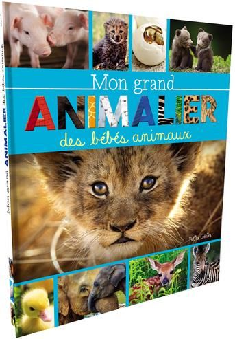 Emprunter Mon grand animalier des bébés animaux livre