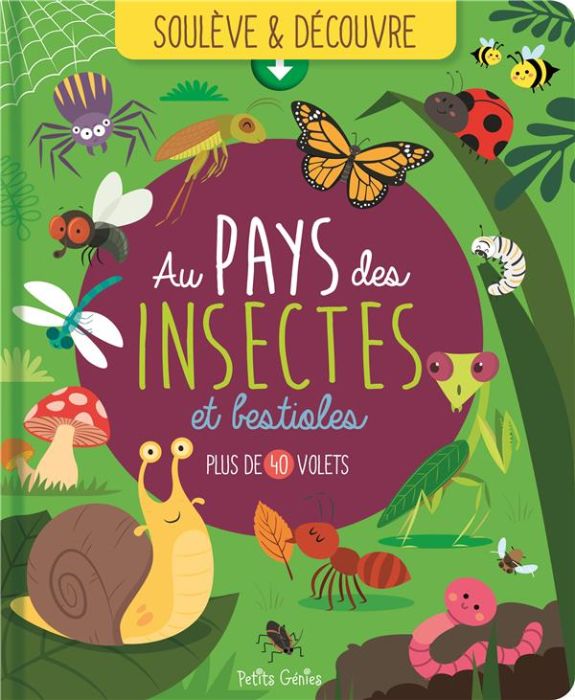 Emprunter Au pays des insectes et bestioles livre