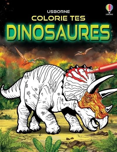 Emprunter Colorie tes dinosaures livre