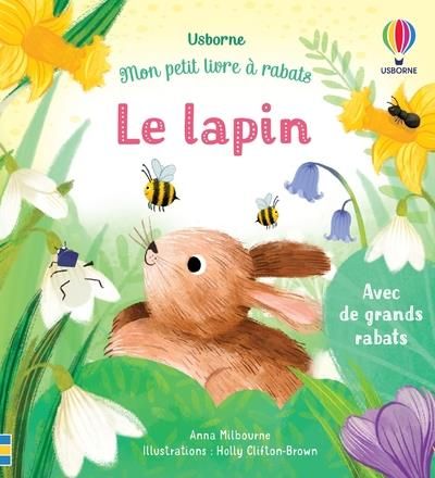 Emprunter Le lapin livre