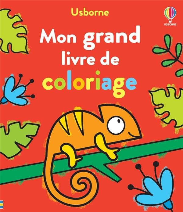 Emprunter Mon grand livre de coloriage livre