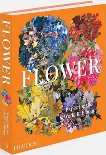 Emprunter FLOWER: EXPLORING THE WORLD IN BLOOM livre