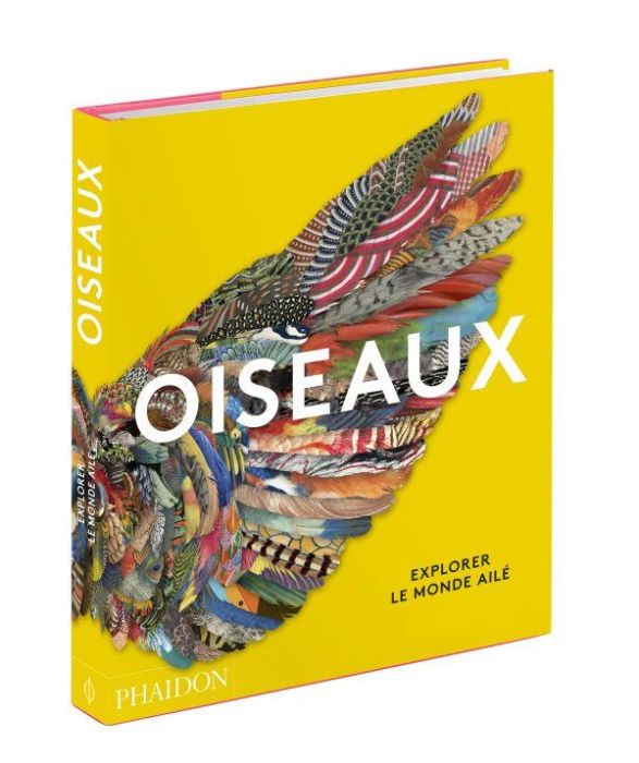 Emprunter Oiseaux. Explorer le monde ailé livre