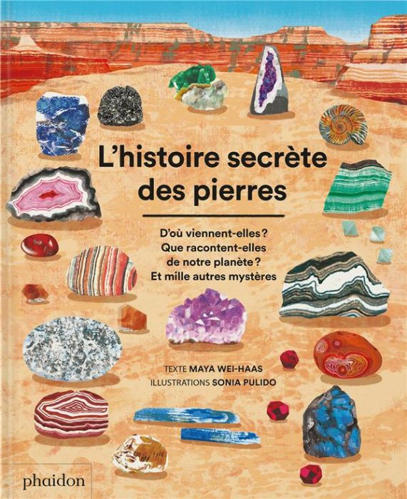 Emprunter L'histoire secrète des pierre. D'où viennent-elles ? Que racontent-elles de notre planète ? Et mille livre