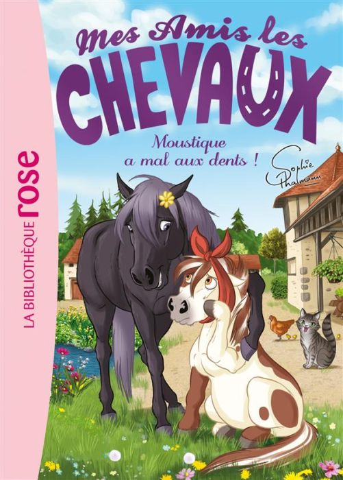 Emprunter Mes amis les chevaux Tome 13 : Moustique a mal aux dents ! livre