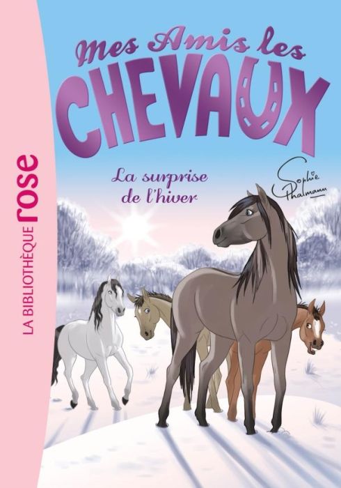 Emprunter Mes amis les chevaux Tome 7 : La surprise de l'hiver livre