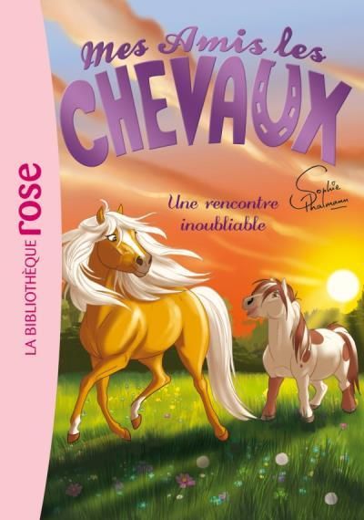 Emprunter Mes amis les chevaux Tome 6 : Une rencontre inoubliable livre