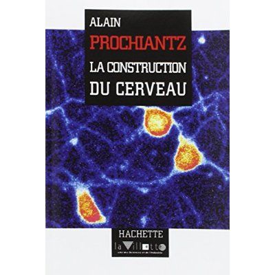 Emprunter La construction du cerveau livre