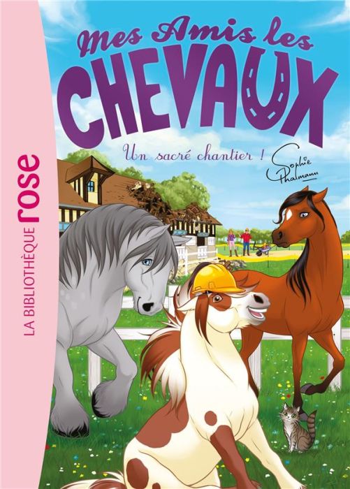 Emprunter Mes amis les chevaux Tome 31 : Un sacré chantier ! livre