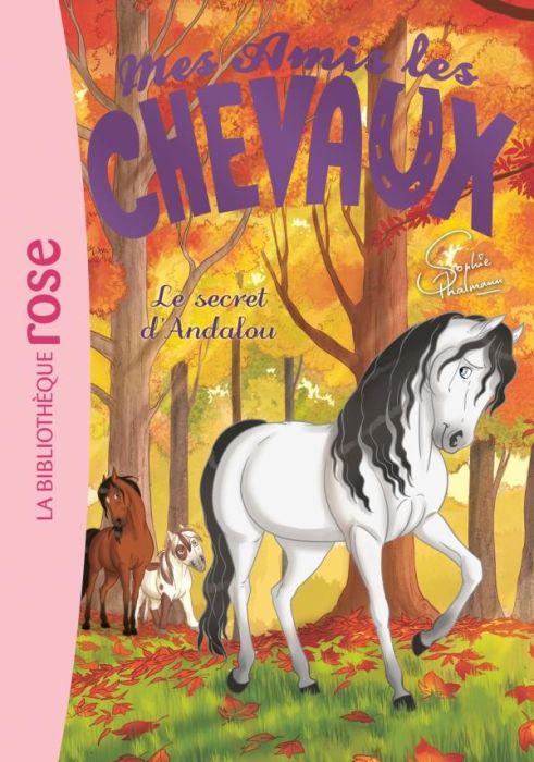 Emprunter Mes amis les chevaux Tome 19 : Le secret d'Andalou livre