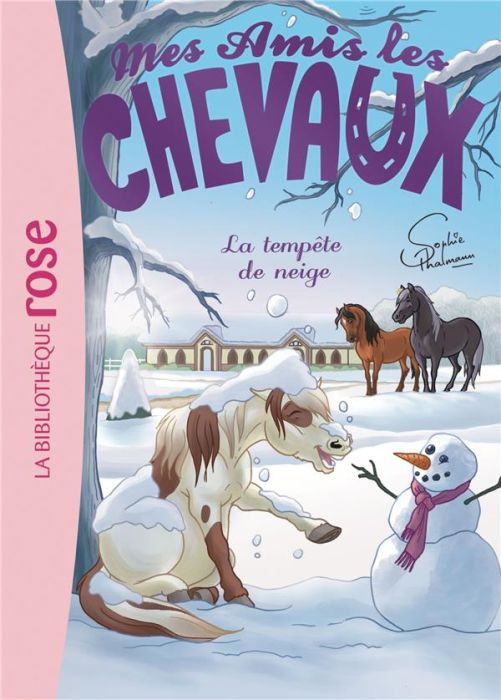 Emprunter Mes amis les chevaux Tome 25 : La tempête de neige livre