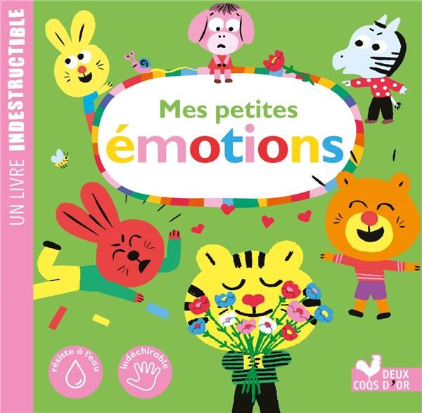 Emprunter Mes petites émotions livre