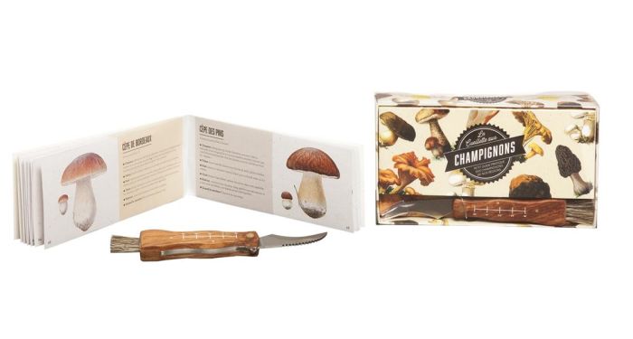 Emprunter COFFRET CHAMPIGNONS livre