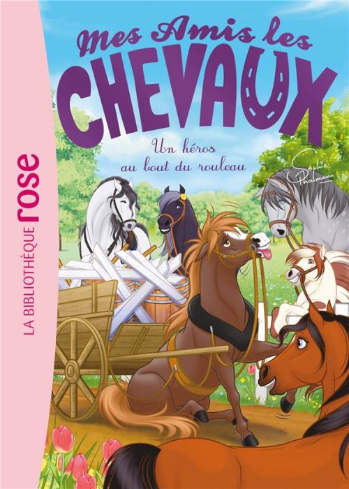 Emprunter Mes amis les chevaux Tome 41 : Un héros au bout du rouleau livre