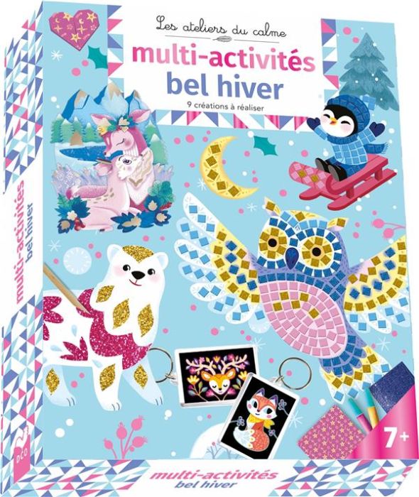 Emprunter Coffret multi-activités bel hiver. 9 créations à réaliser %3B Avec un livret de 8 pages inclus livre