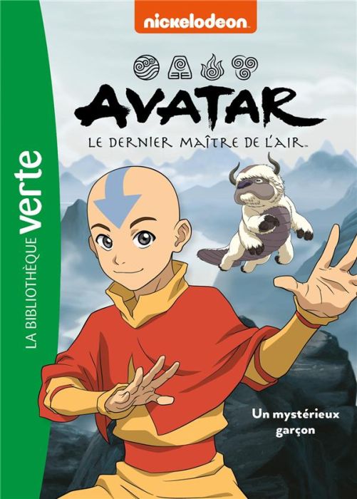 Emprunter Avatar, le dernier maître de l'air Tome 1 : Un garçon mystérieux livre