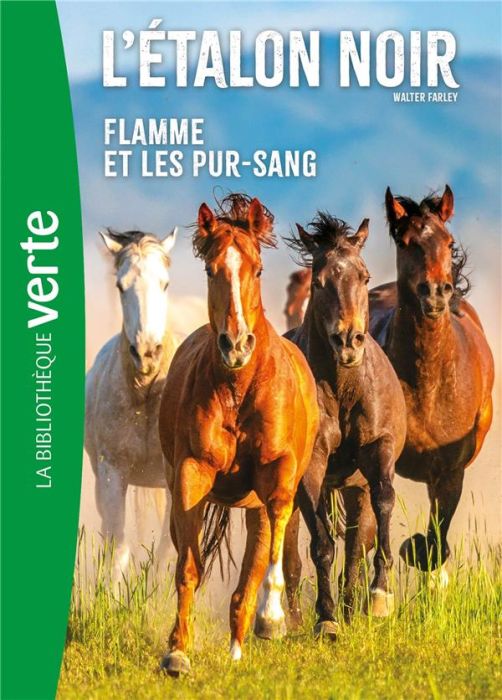 Emprunter L'Etalon Noir Tome 11 : Flamme et les pur-sang livre