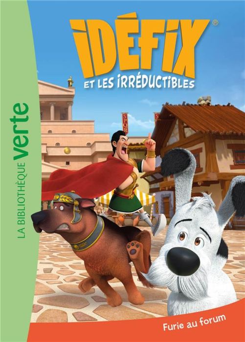 Emprunter Idéfix et les Irréductibles Tome 5 : Furie au forum livre