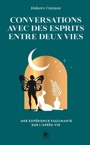 Emprunter Conversations avec des esprits entre deux vies. Une expérience fascinante sur l'après-vie livre