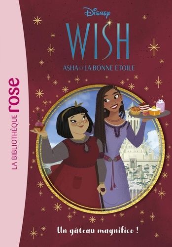 Emprunter Wish, Asha et la bonne étoile Tome 3 : Un gâteau magnifico ! livre