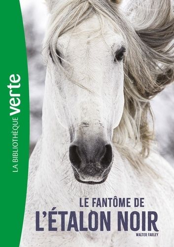 Emprunter L'Etalon Noir Tome 16 : Le fantôme de l'Etalon Noir livre