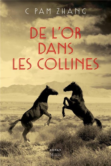 Emprunter De l'or dans les collines livre