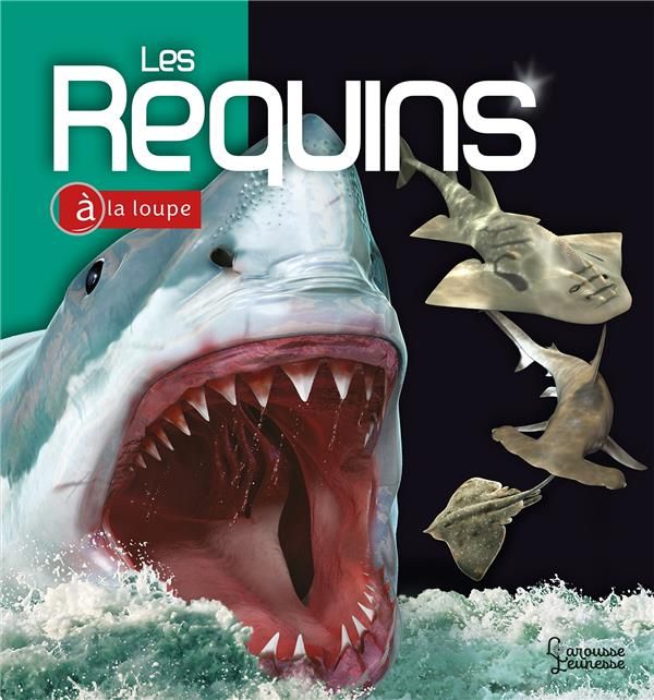 Emprunter Les Requins livre