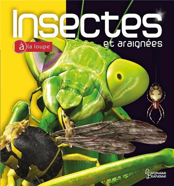 Emprunter Insectes et araignées livre