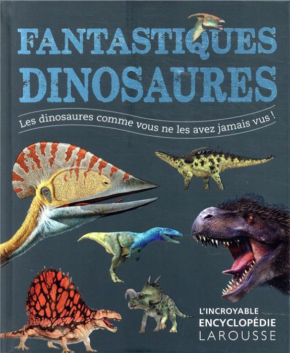 Emprunter Fantastiques dinosaures livre