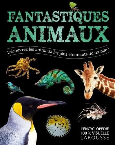 Emprunter Fantastiques animaux. Découvrez les animaux les plus étonnants du monde ! livre