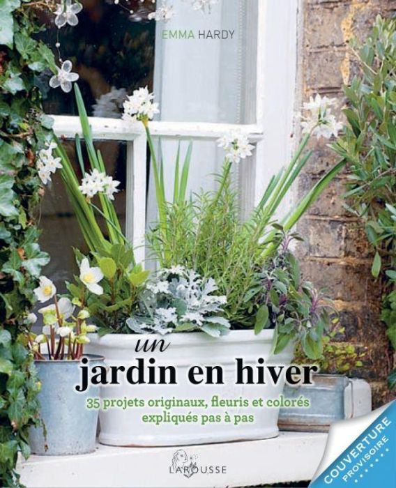 Emprunter Un jardin en hiver. 35 projets originaux, fleuris et colorés expliqués pas à pas livre